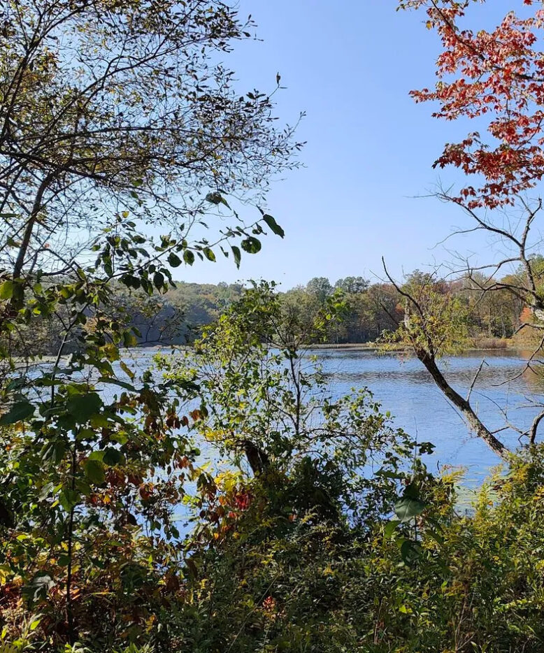 Save Lake Stamford